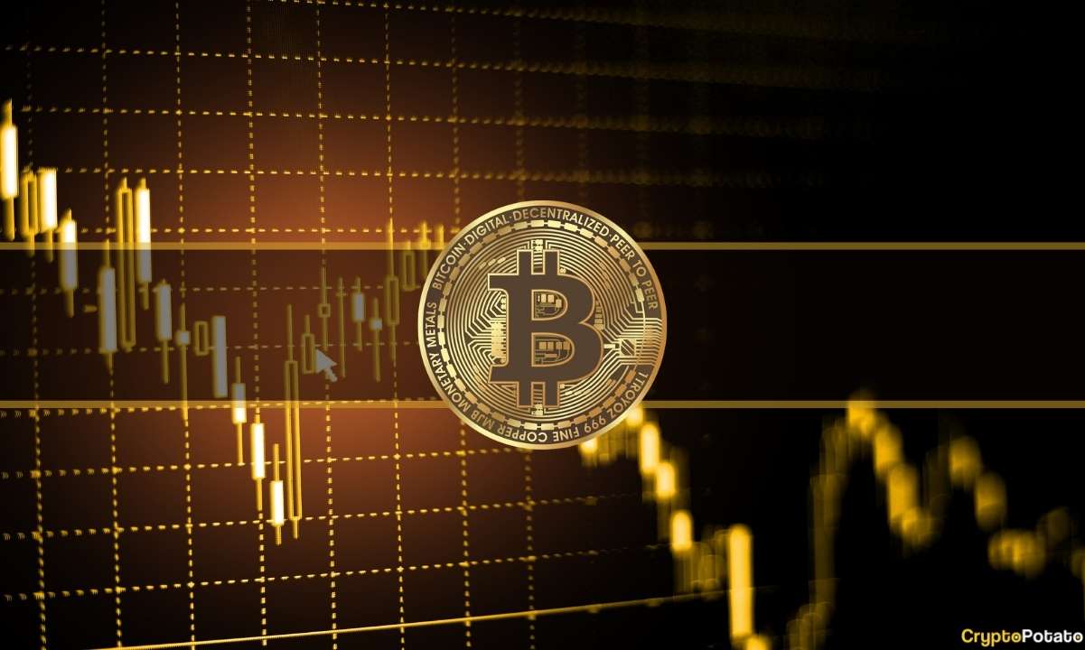 Daily Volatility Surges as Bitcoin Fights for $20K (Market Watch)