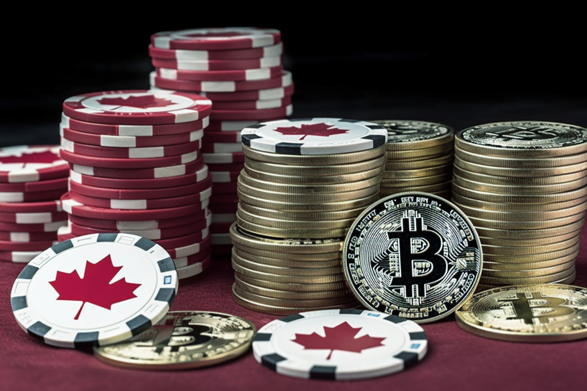 The top Canadian Bitcoin Casinos