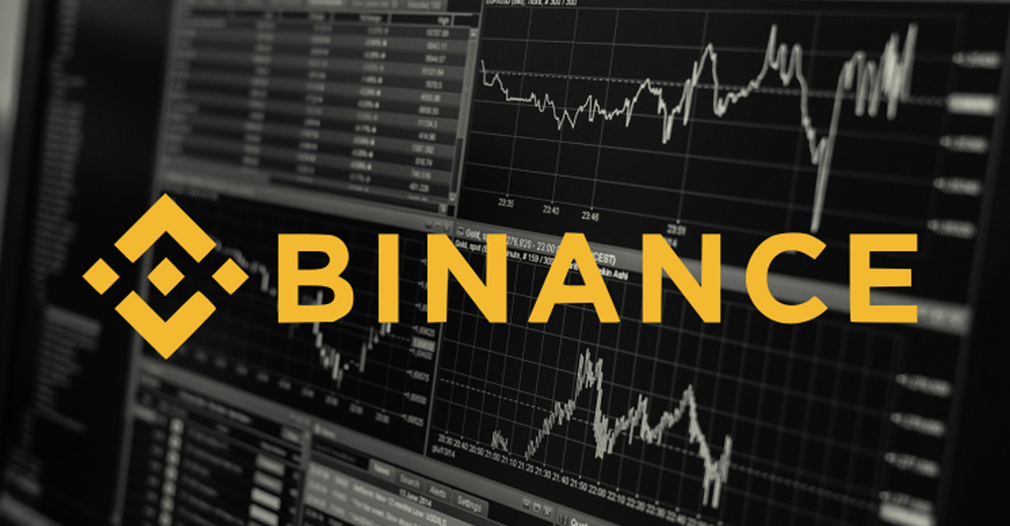Binance Immense XRP Holdings Exposed In POR Report