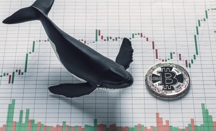 Whales Add 4,230 BTC, Signaling Potential Price Reversal